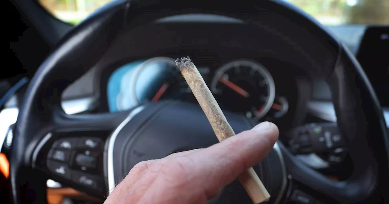 So soll das Cannabis-Gesetz geändert werden​: Regeln für Autofahrer