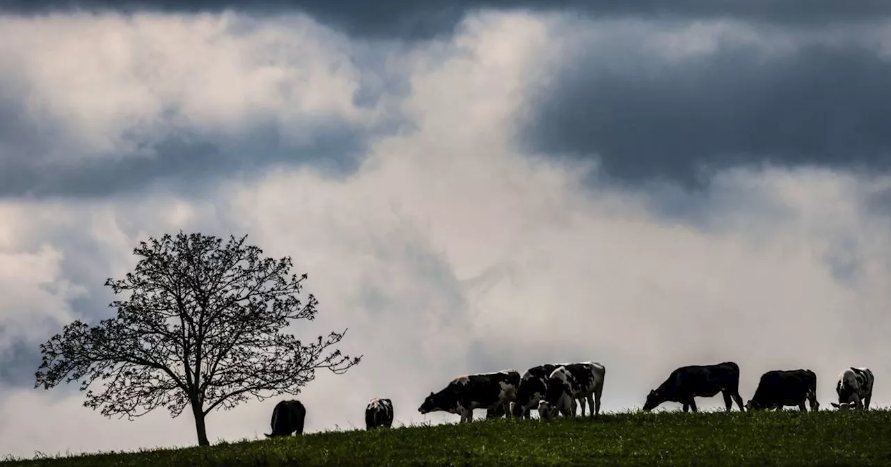 Unwetter in NRW: DWD warnt vor Starkregen bis Samstag