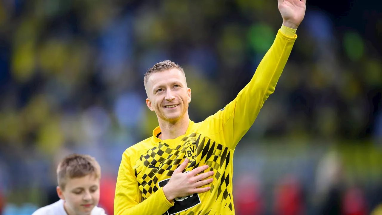 BVB-Abschied von Marco Reus - erst Blumen, dann Henkelpott?