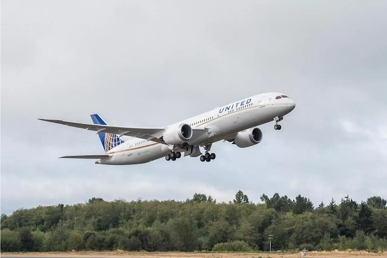 Engine failure forces U-turn of San Francisco-bound United Airlines flight back to Changi