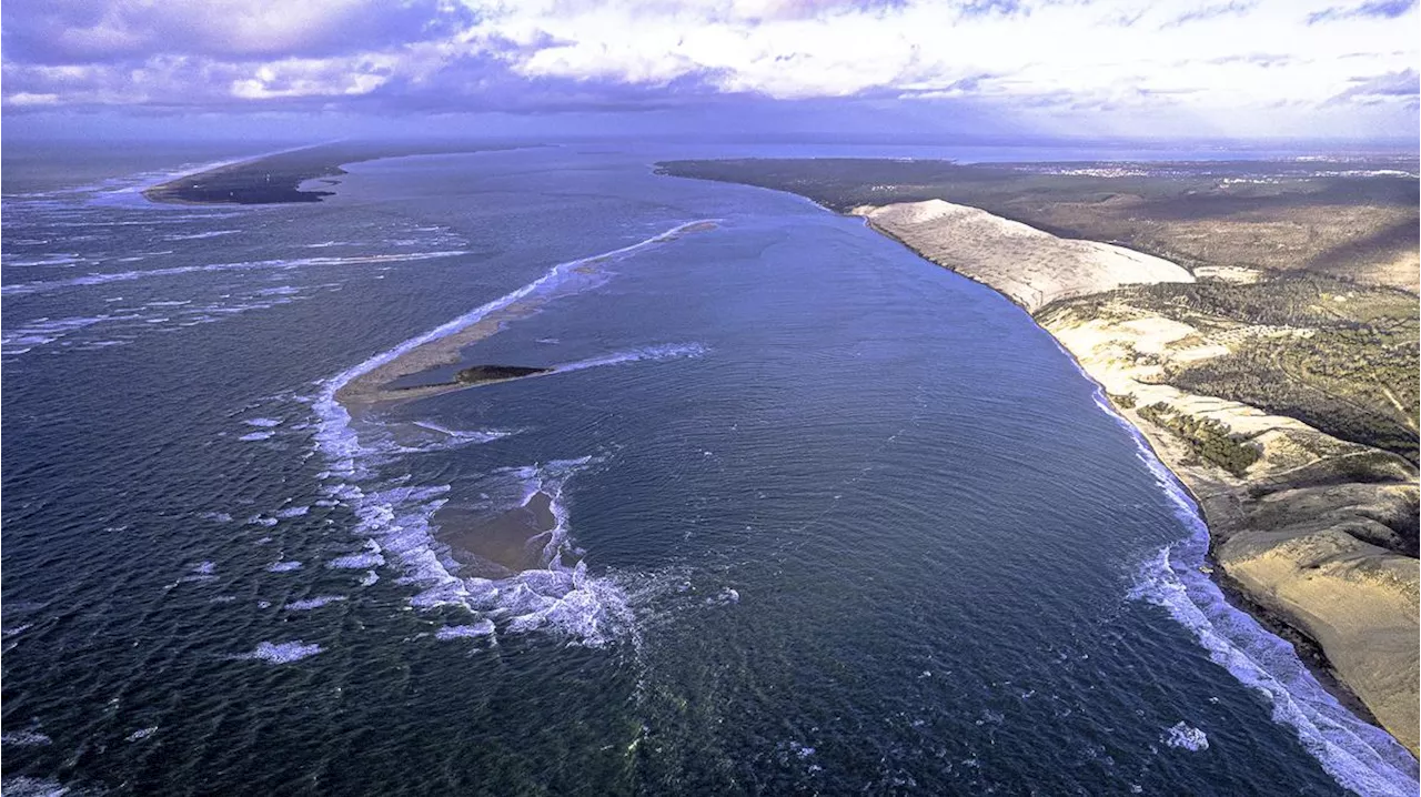 Bassin d’Arcachon : le sud du banc d’Arguin interdit d’accès et de débarquement