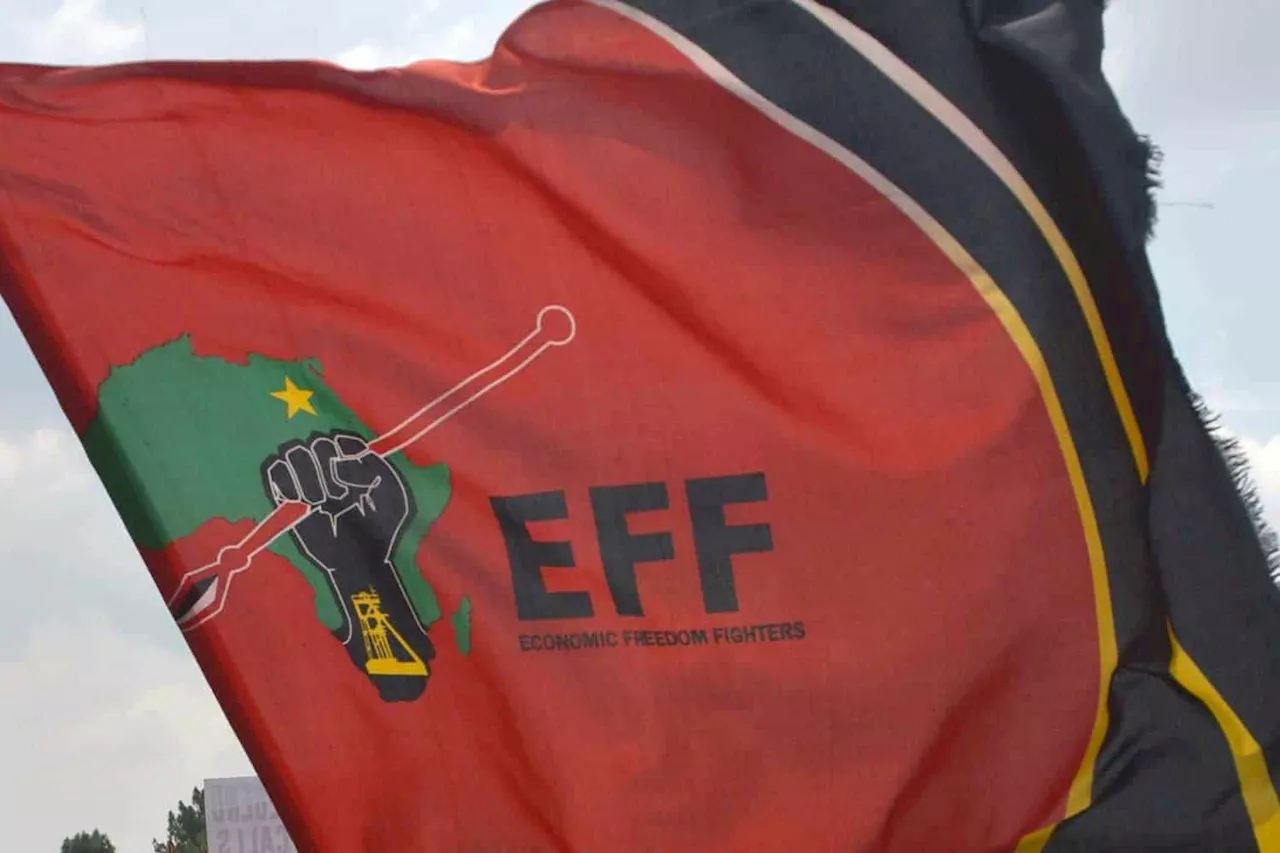 WATCH: EFF senior researcher claims investors would “benefit” from an EFF government