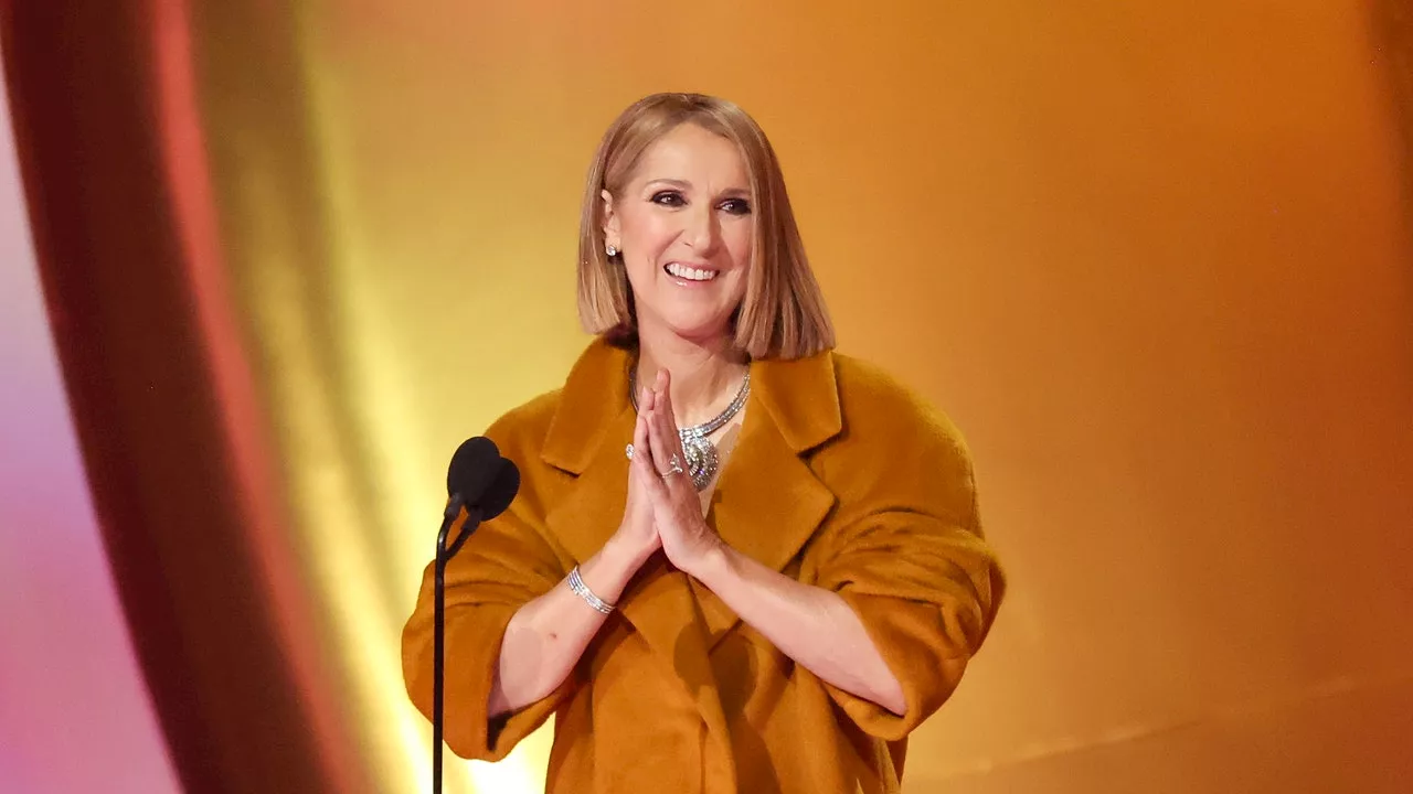 Céline Dion en grande forme au concert des Rolling Stones