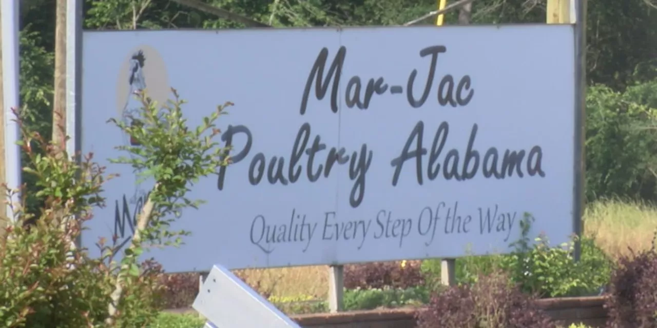 Jasper poultry plant accused to violating federal child labor laws