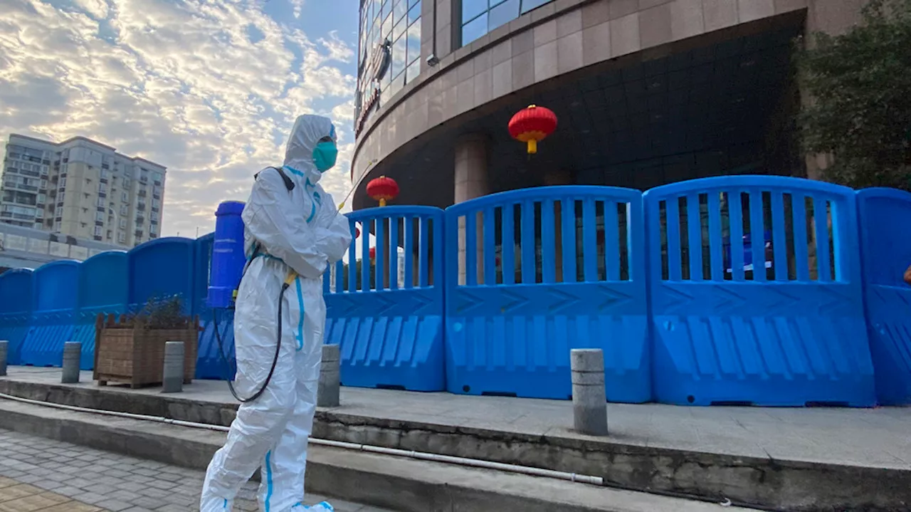 US halts funds to group linked to controversial Wuhan virus research