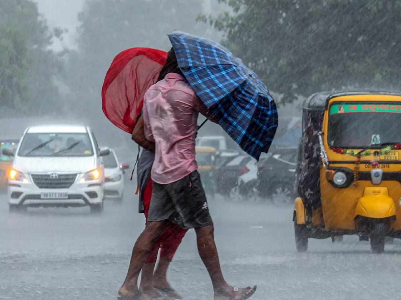 கனமழை எதிரொலி: தேனி மாவட்டத்திற்கு இயற்கை பேரிடர் புகார் எண் அறிவிப்பு