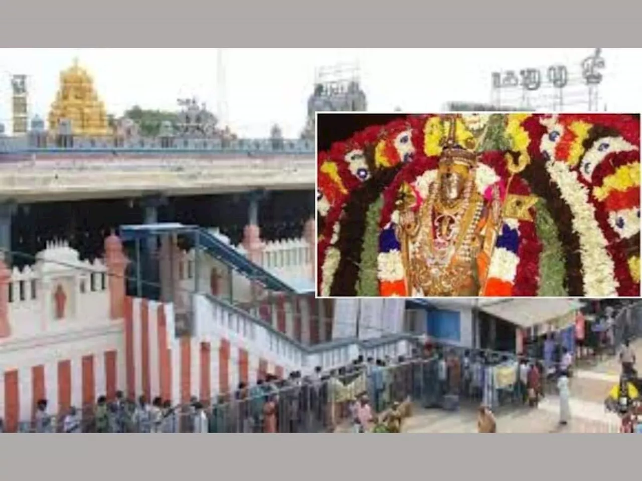 வைகாசி விசாகத்தில் திருத்தணி முருகனை தரிசிக்க குவிந்த பக்தர்கள்! 1 கோடி ரூபாய் காணிக்கை!