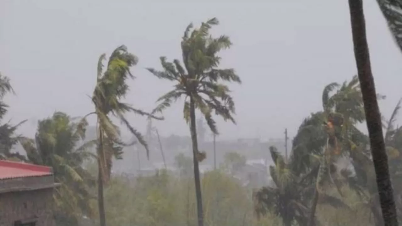 Kerala Rain Warning: സംസ്ഥാനത്ത് ഇന്ന് കനത്ത മഴ: ആറ് ജില്ലകളിൽ യെല്ലോ അലർട്ട്