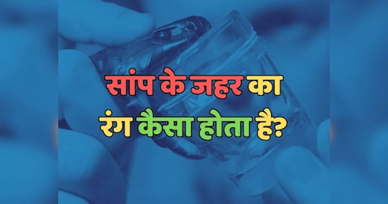 Trending Quiz : सांप के जहर का रंग कैसा होता है?