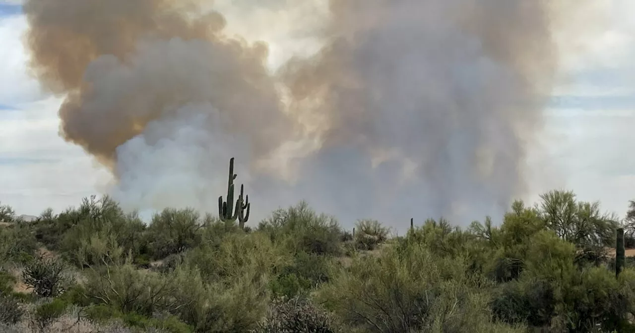 LIVE VIDEO: Visitors escorted out of Bartlett Lake as Wildcat Fire grows to 500 acres