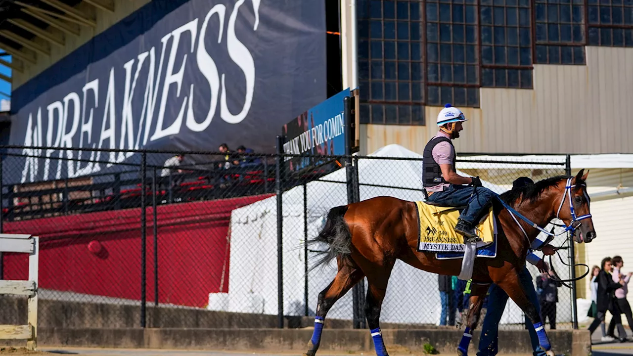 Mystik Dan looks to take Triple Crown at 2024 Preakness Stakes