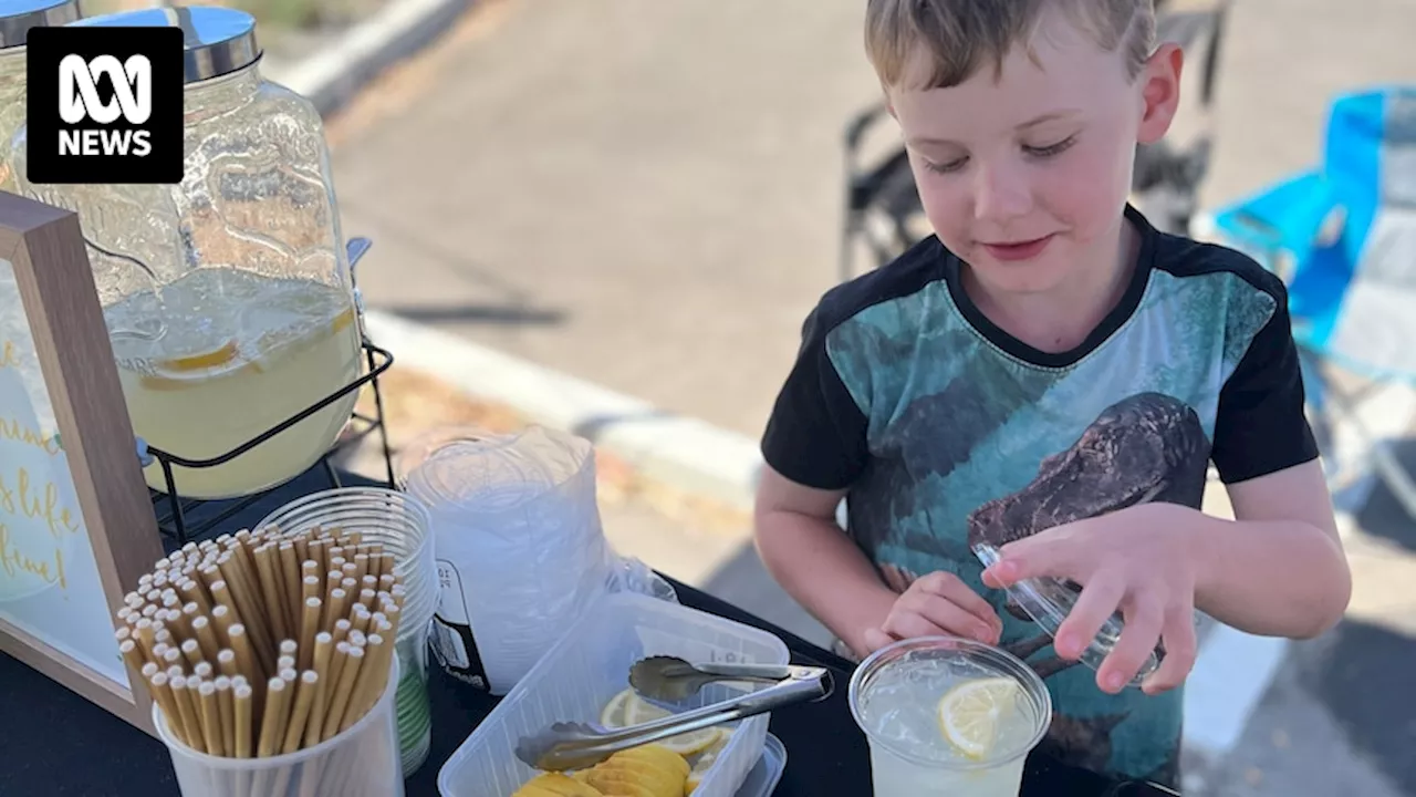 Bluey inspired six-year-old Charlie to sell lemonade to save for a boat, teaching him vital money skills too