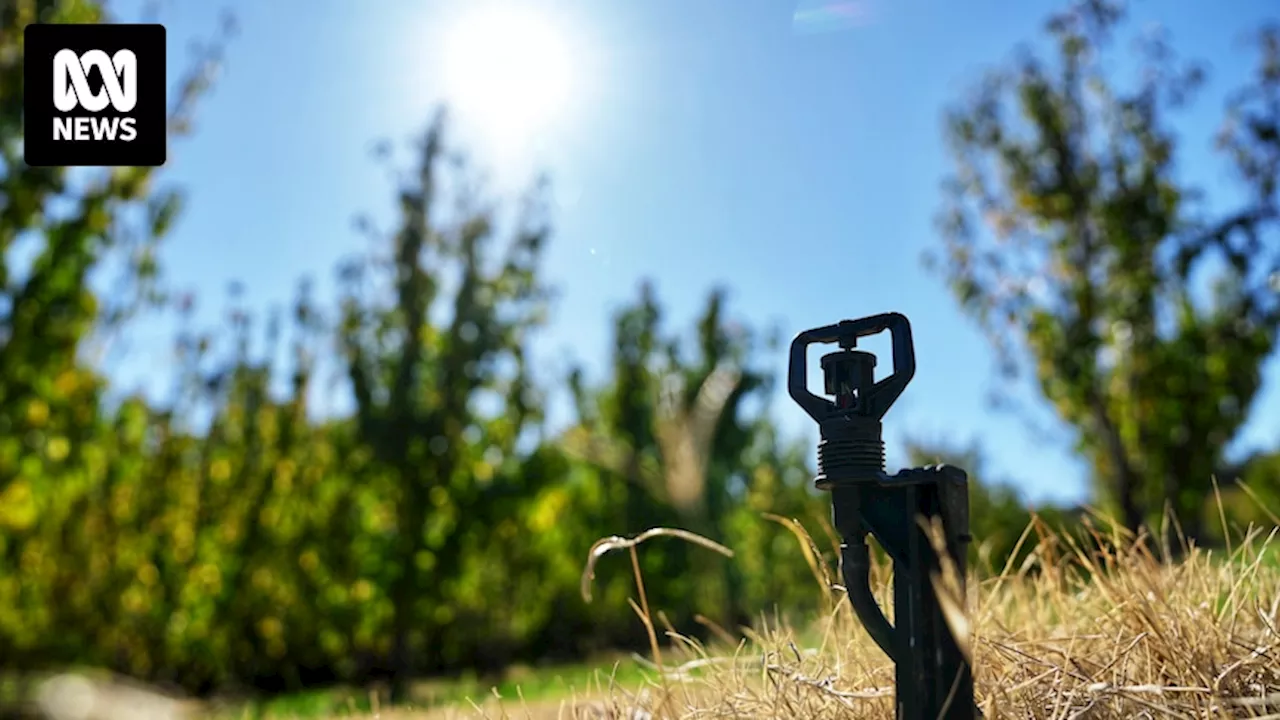 Perth's dry spell continues as May temperature record set to fall