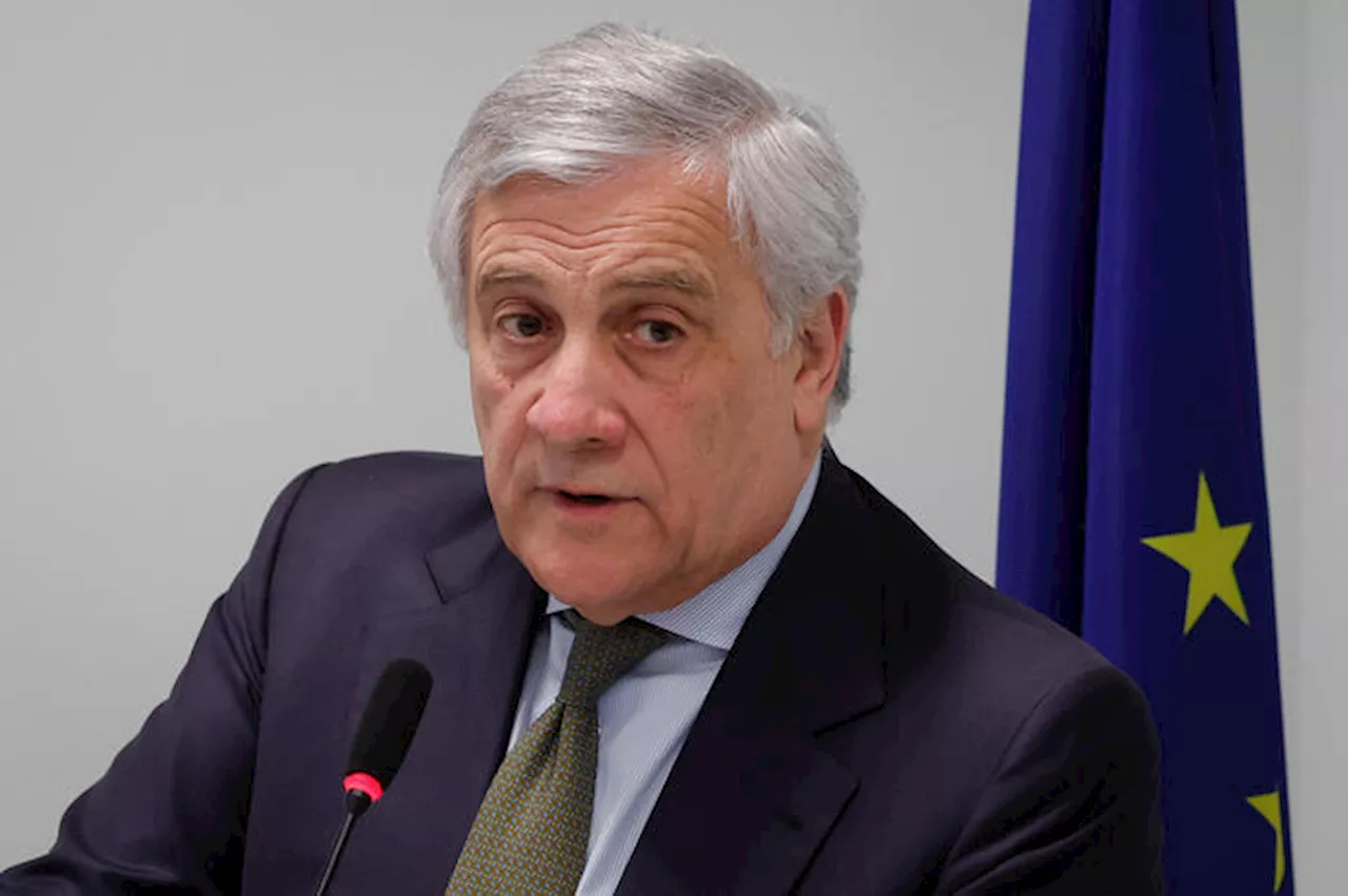 Tajani: 'Qualche ignorante si prende gioco della bandiera Ue'