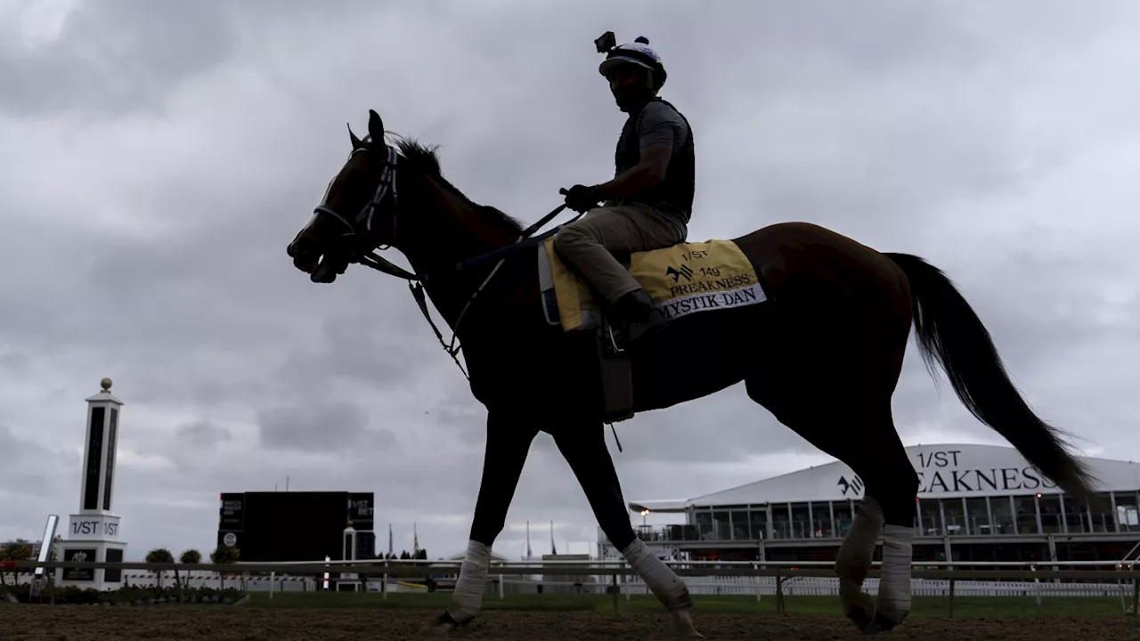 Preakness Stakes 2024: Mystik Dan looks for Triple Crown