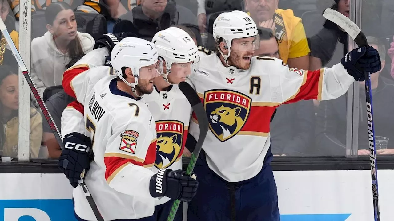 NHL-Playoffs: Florida Panthers und Dallas im Halbfinale