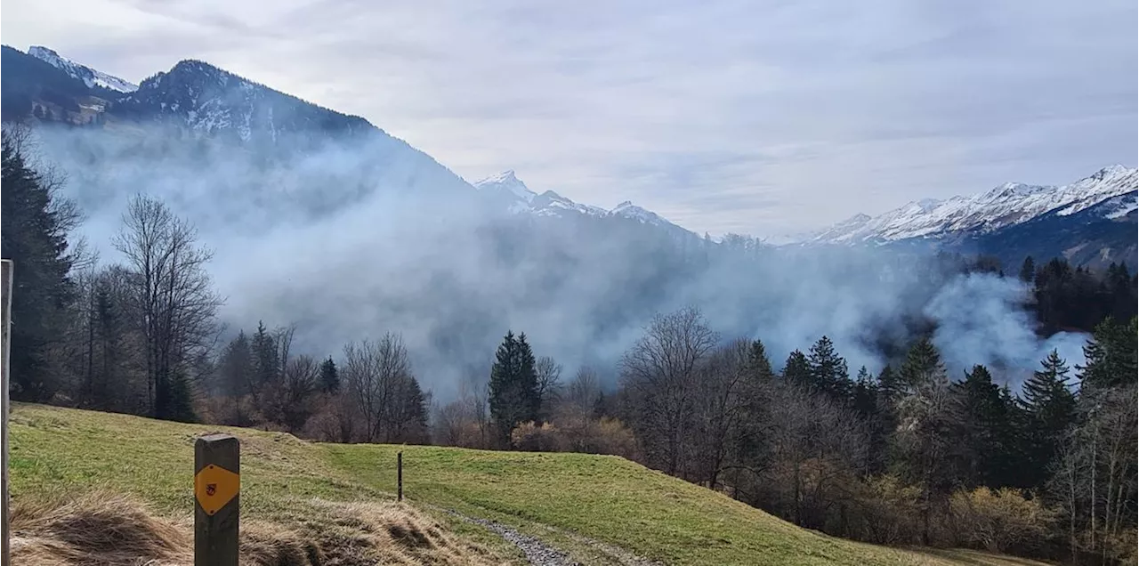 Feinstaub: Verbot von Mottfeuern beeindruckt manche nicht