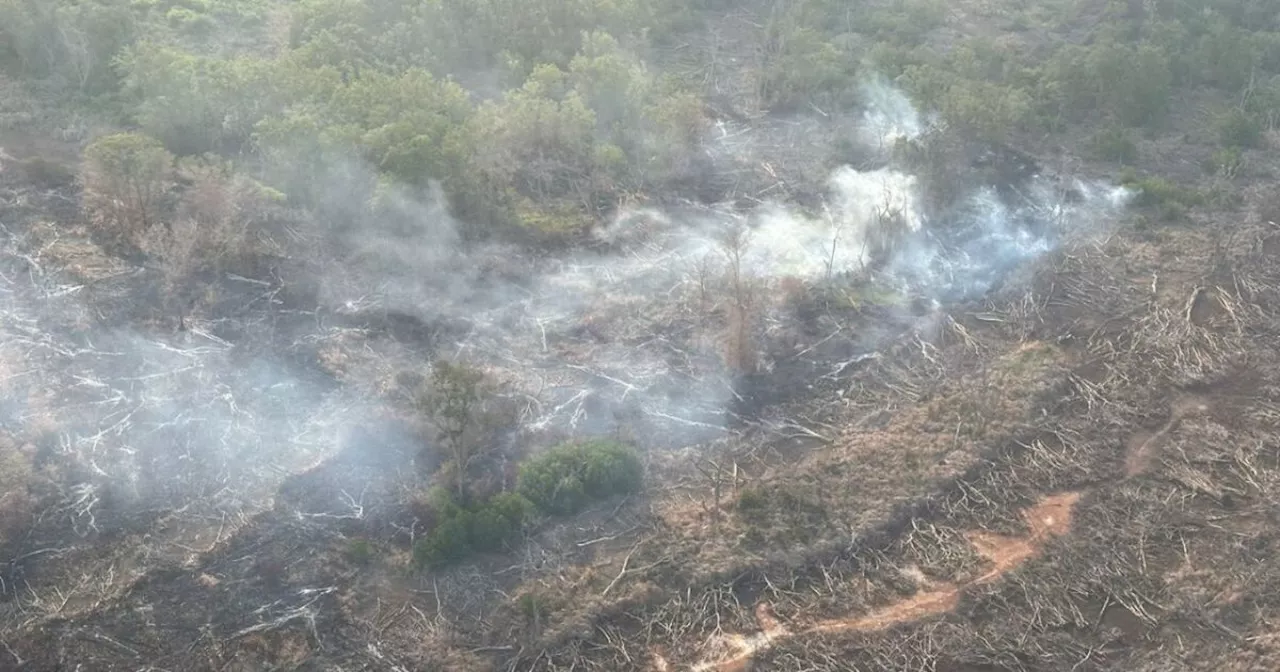 Más de 200 hectáreas, consumidas por nuevos incendios forestales en Parque Isla Salamanca