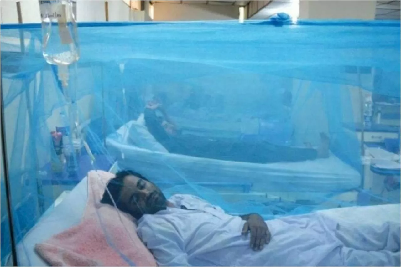 PMA expresses concern on dengue related 14 deaths in Turbat