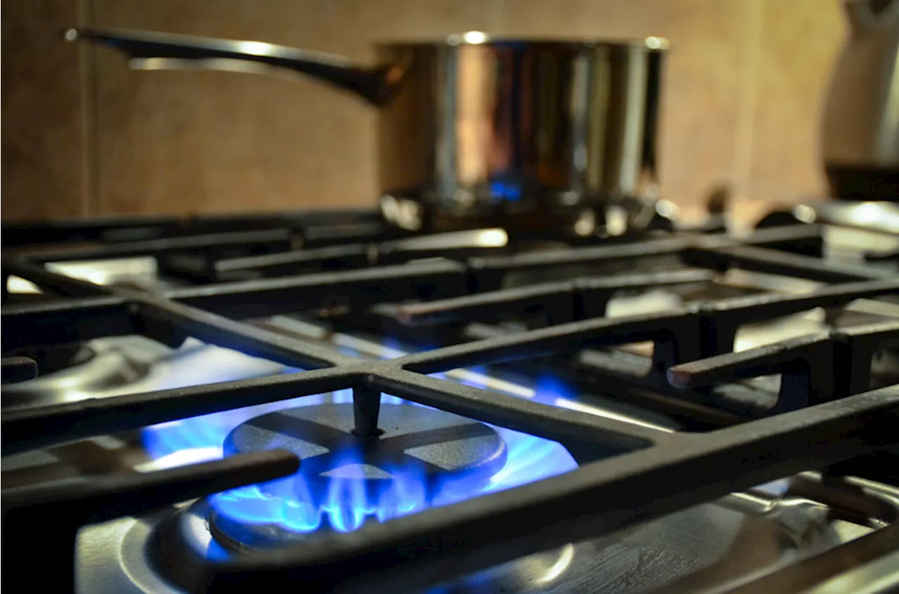 Chefs Want To Continue To Cook With Gas — Gas Companies Help With Disinformation Campaigns