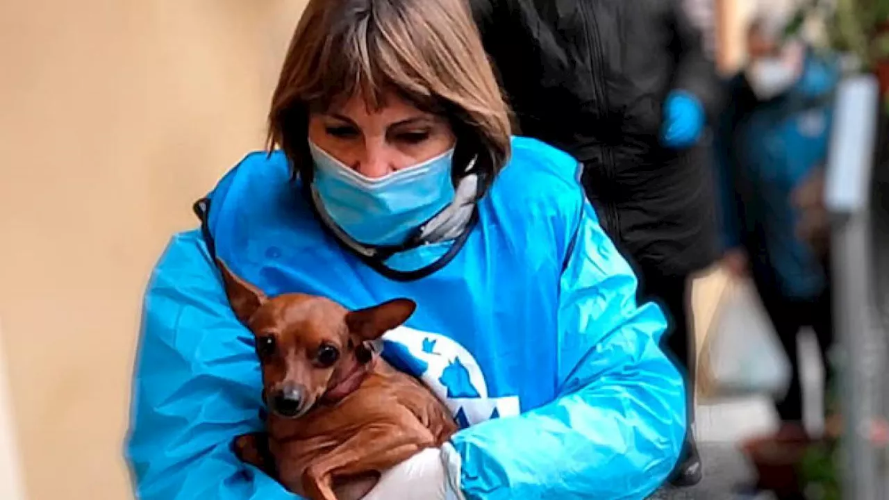 Leidaa: l’appello per aiutare l’associazione a salvare cani e gatti dall’abbandono