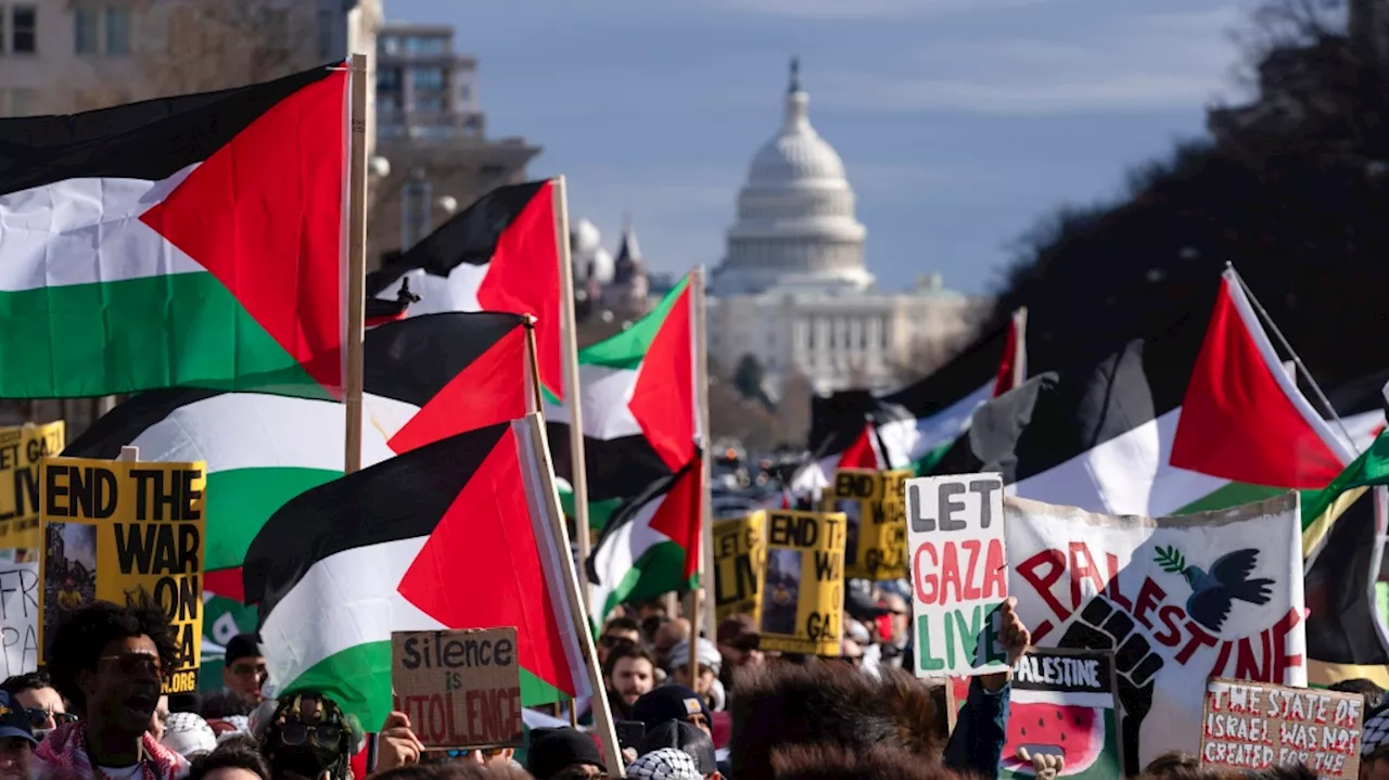 Thousands are expected to rally on Washington's National Mall in support of Palestinian rights