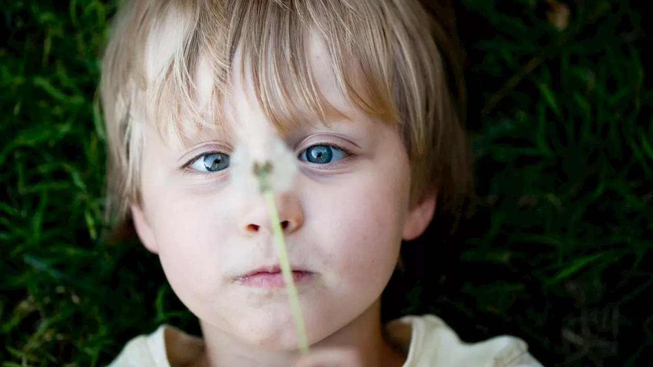 Witz und Weisheit unserer Kinder: »Männer haben unten ein Säckchen mit Blumensamen drin«