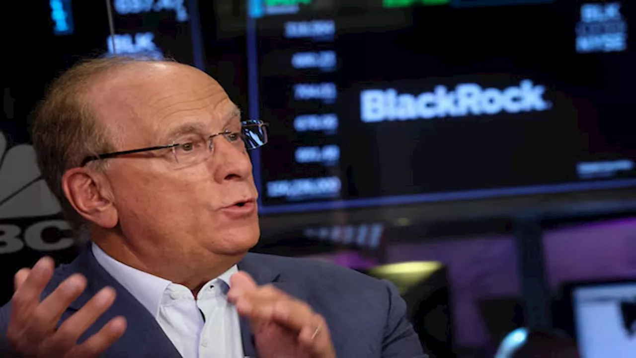 BlackRock in talks with governments about investments to power AI