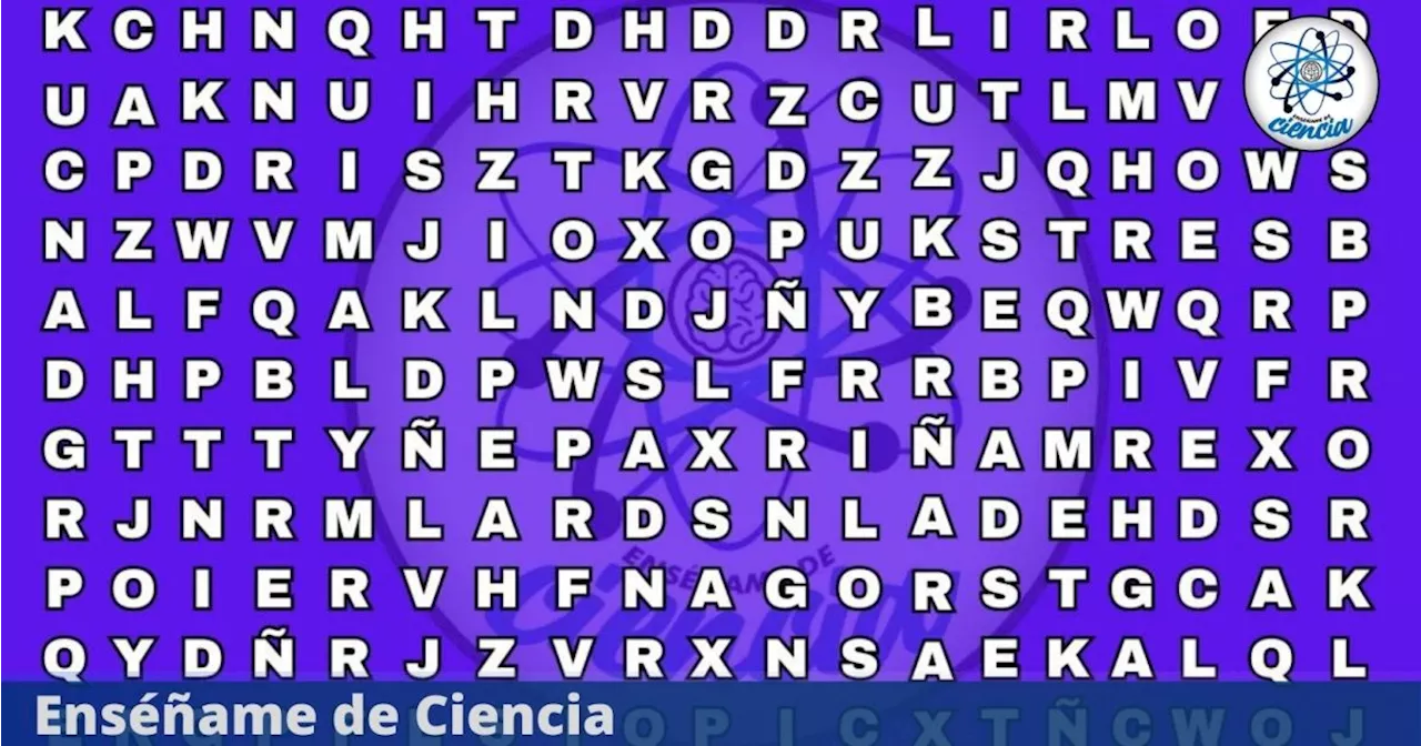 Acertijo visual de la palabra «VENUS» encuéntrala en la sopa de letras en 6 segundos