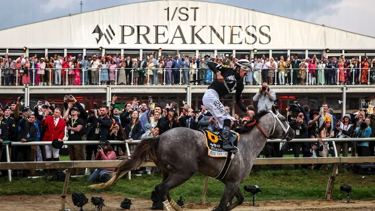 Seize the Grey wins Preakness Stakes, denies Mystik Dan