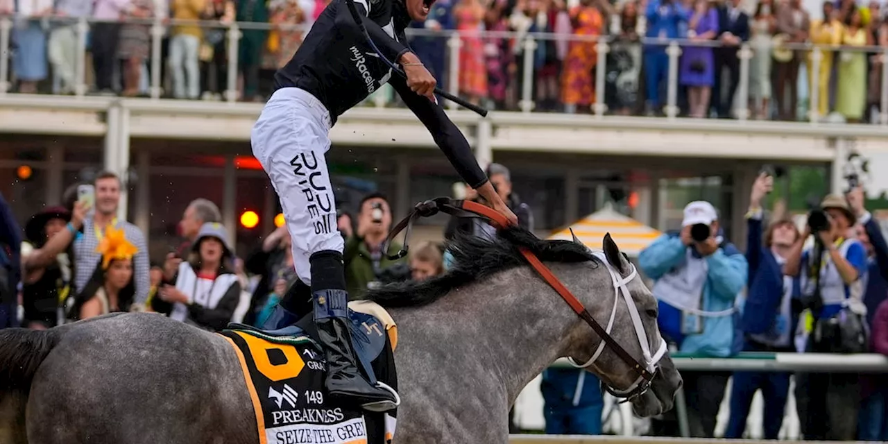 Seize the Grey wins the Preakness for D. Wayne Lukas and ends Mystik Dan’s Triple Crown bid