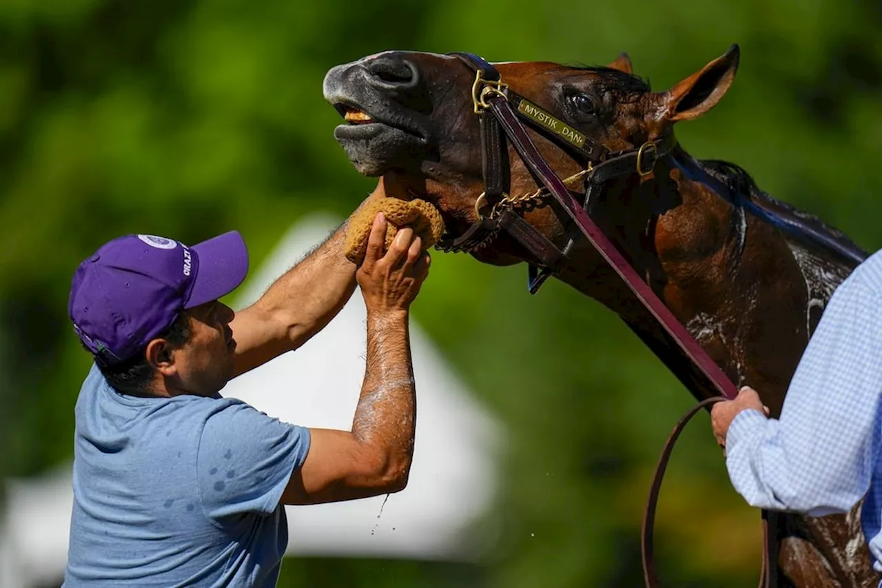 Mystik Dan looks like the horse to beat in the Preakness on what could be a muddy track