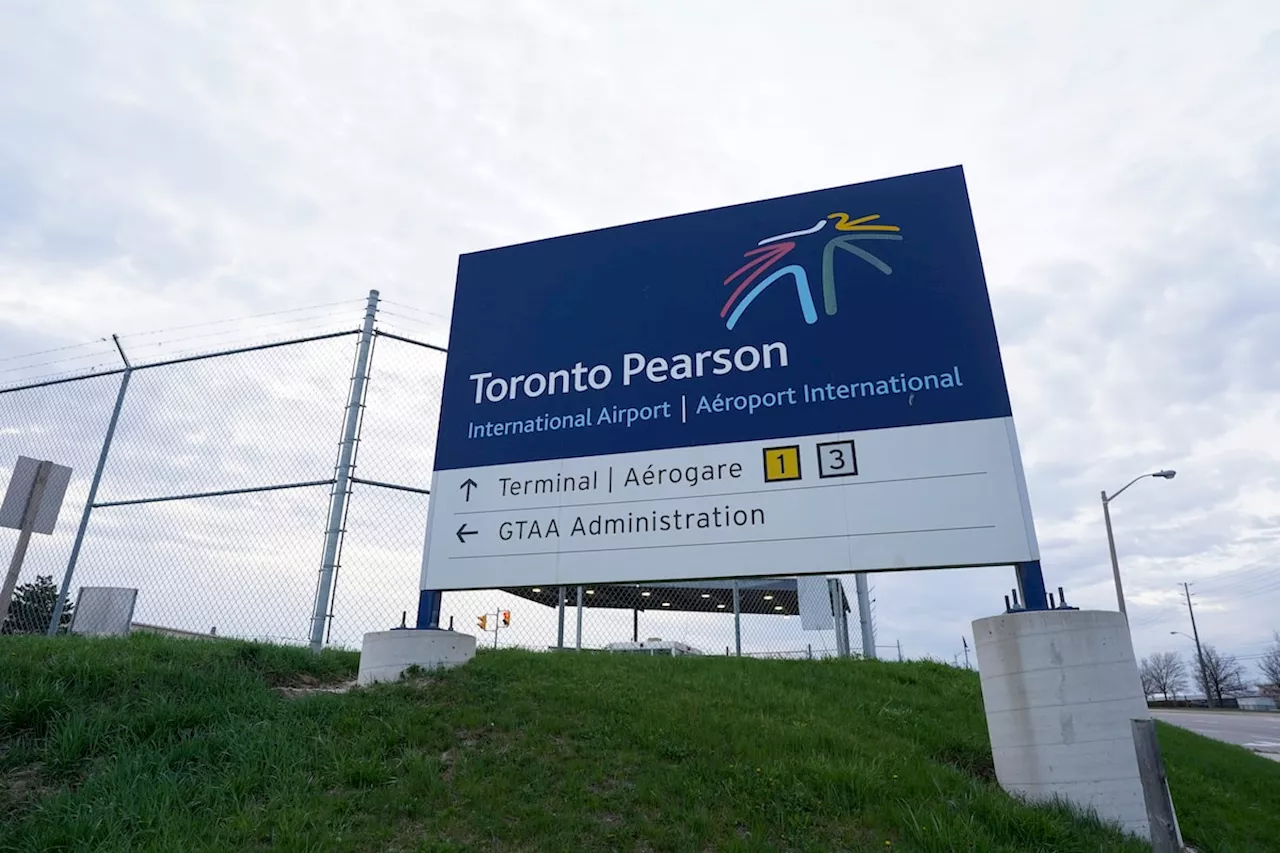 Officials seize around $500,000 worth of elvers from Toronto Pearson Airport