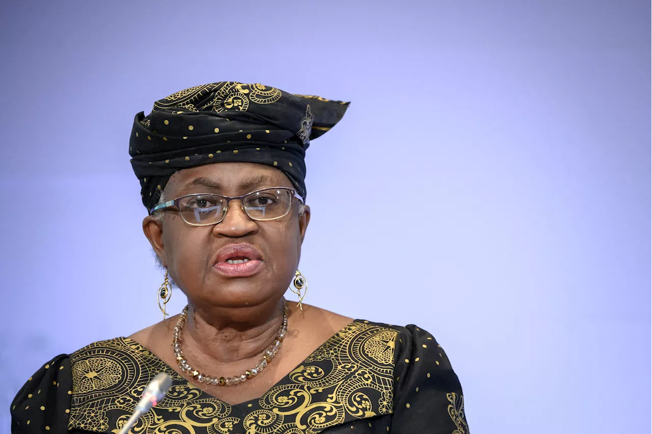 Fact check: WTO DG did not ‘bait’ investors to Nigeria