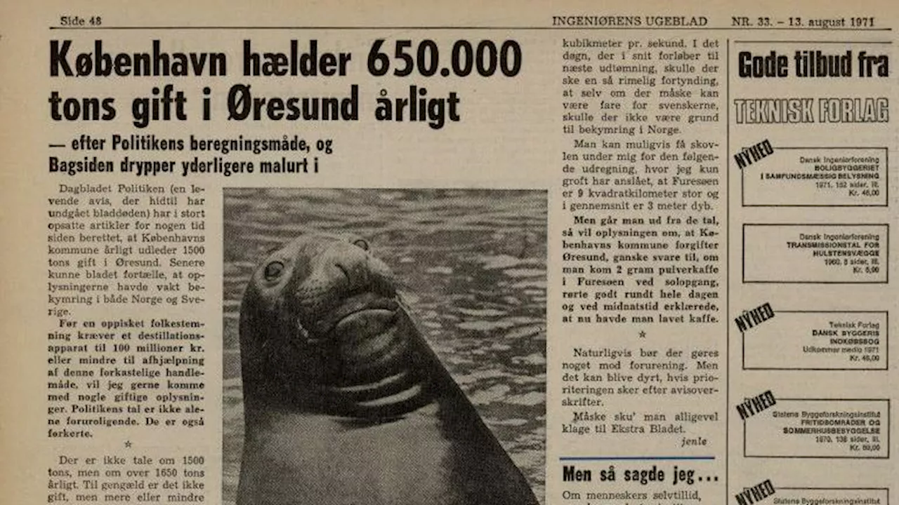 1971: Giftudledning i Øresund er som pulverkaffe i Furesøen