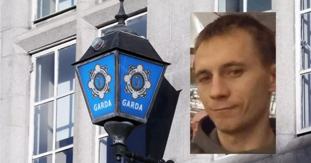 Gardaí appeal to public for information on missing man, 31, last seen in Kildare