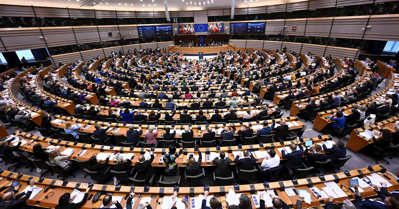 European elections: What does an MEP do?