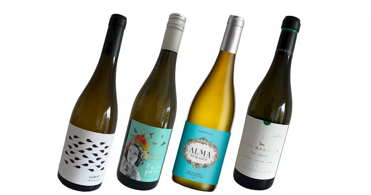 Four Spanish wines to brighten a summer’s afternoon