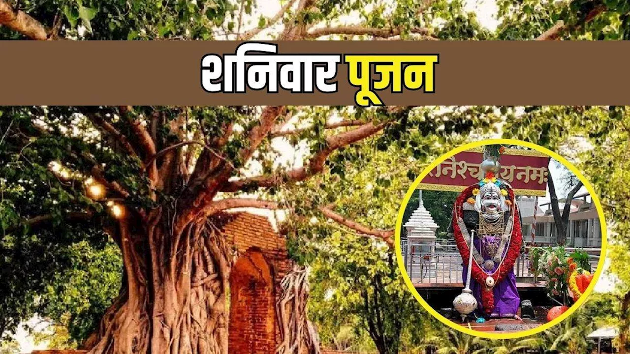 Shani Puja: शनिवार के दिन पीपल के समक्ष करें ये काम, सभी कार्यों में मिलेगी सफलता