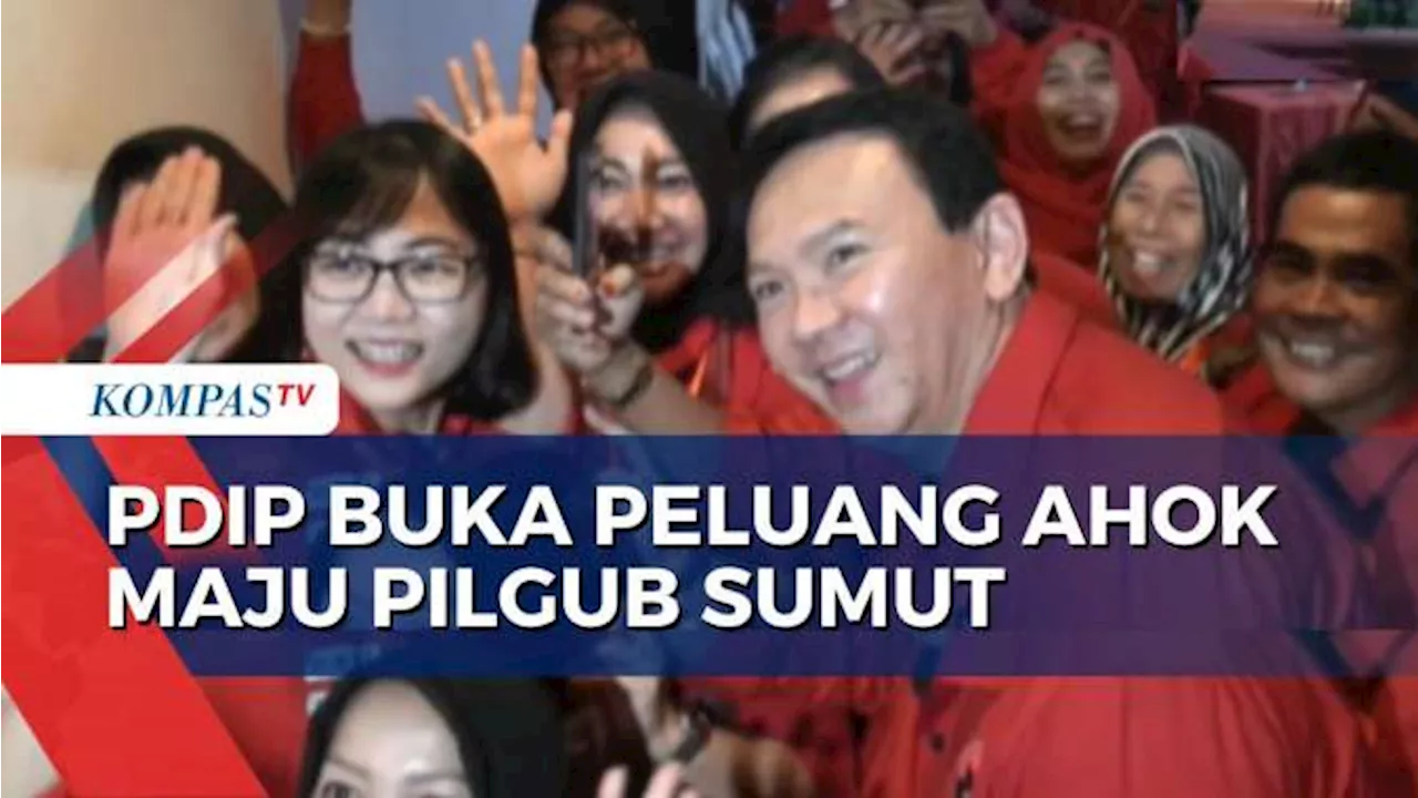 Begini Kata PDIP soal Peluang Ahok Maju di PIlgub Sumut