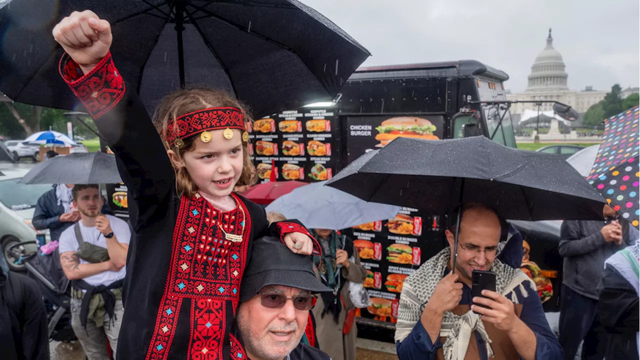 Hundreds gather on National Mall to commemorate historic Palestinian displacement