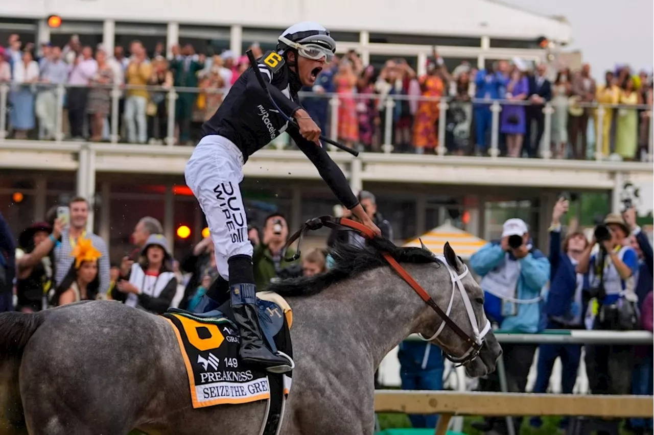 Seize The Grey cinches D. Wayne Lukas his 7th Preakness Stakes win