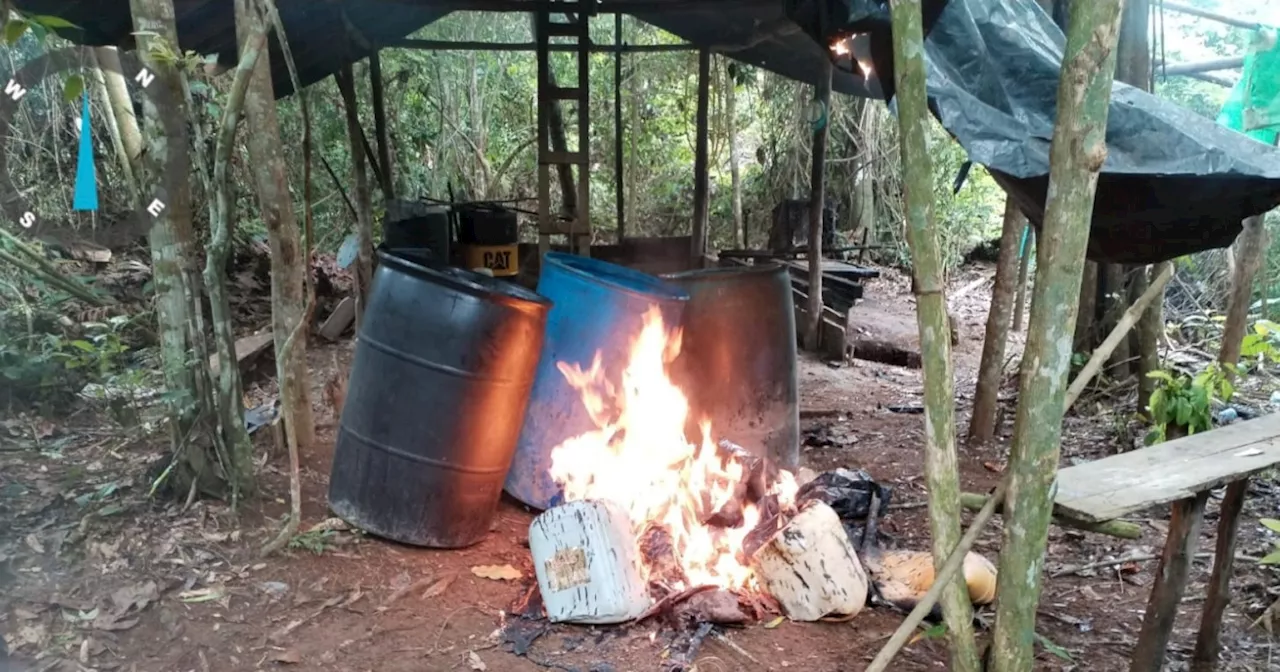 Destruyen laboratorios de droga del Clan del Golfo