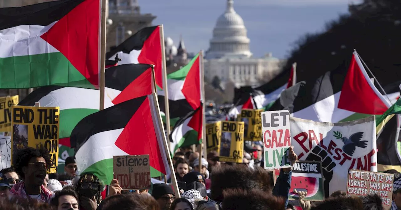 Thousands expected to rally in Washington in support of Palestinian rights