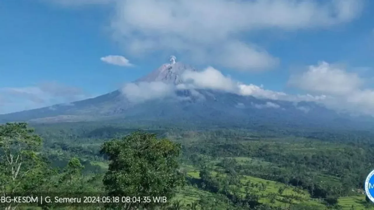 Gunung Semeru Erupsi Enam Kali Beruntun, Lontarkan Abu Vulkanik Ratusan Meter