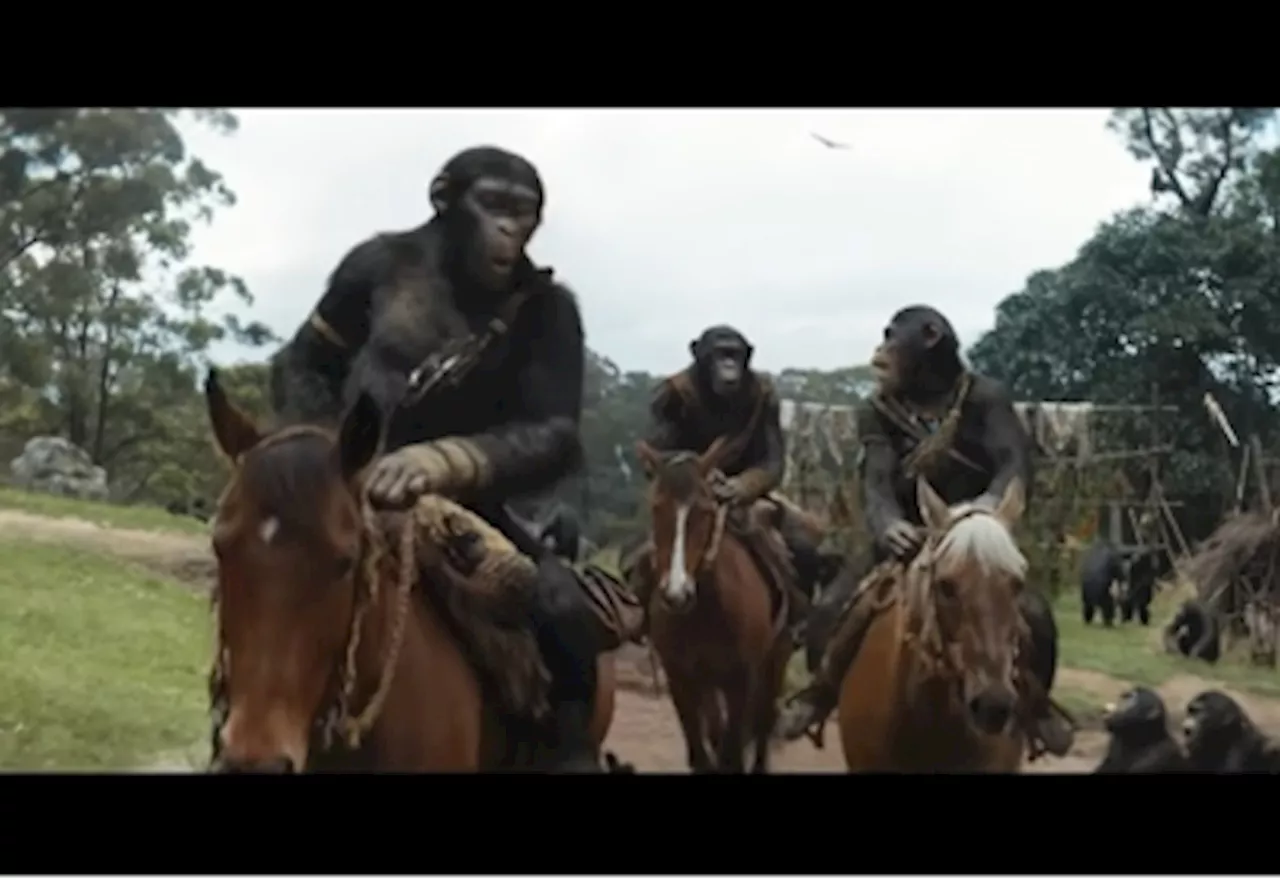 ‘Kingdom of the Planet of the Apes’ & ‘The Roundup 4’ are solid proof that franchise films still work when done right