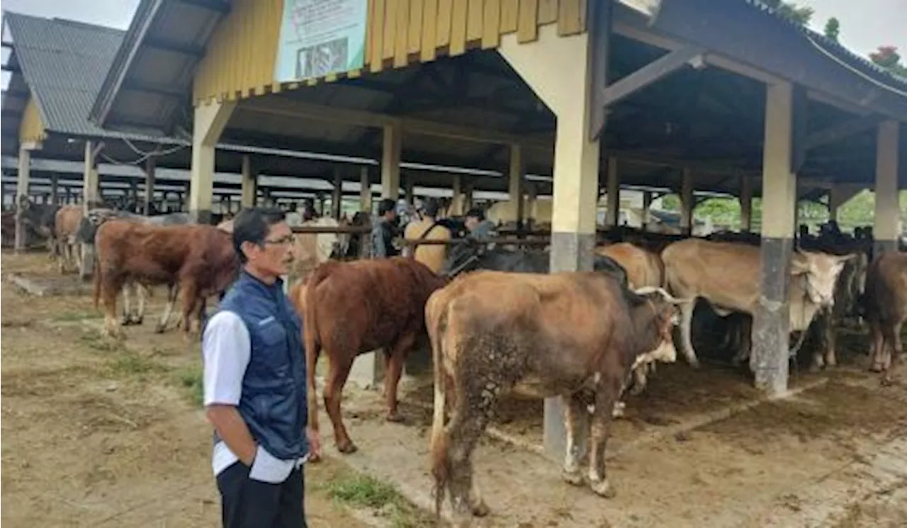 Jelang Idul Adha, Pasar Hewan di Jawa Barat sudah Menggeliat