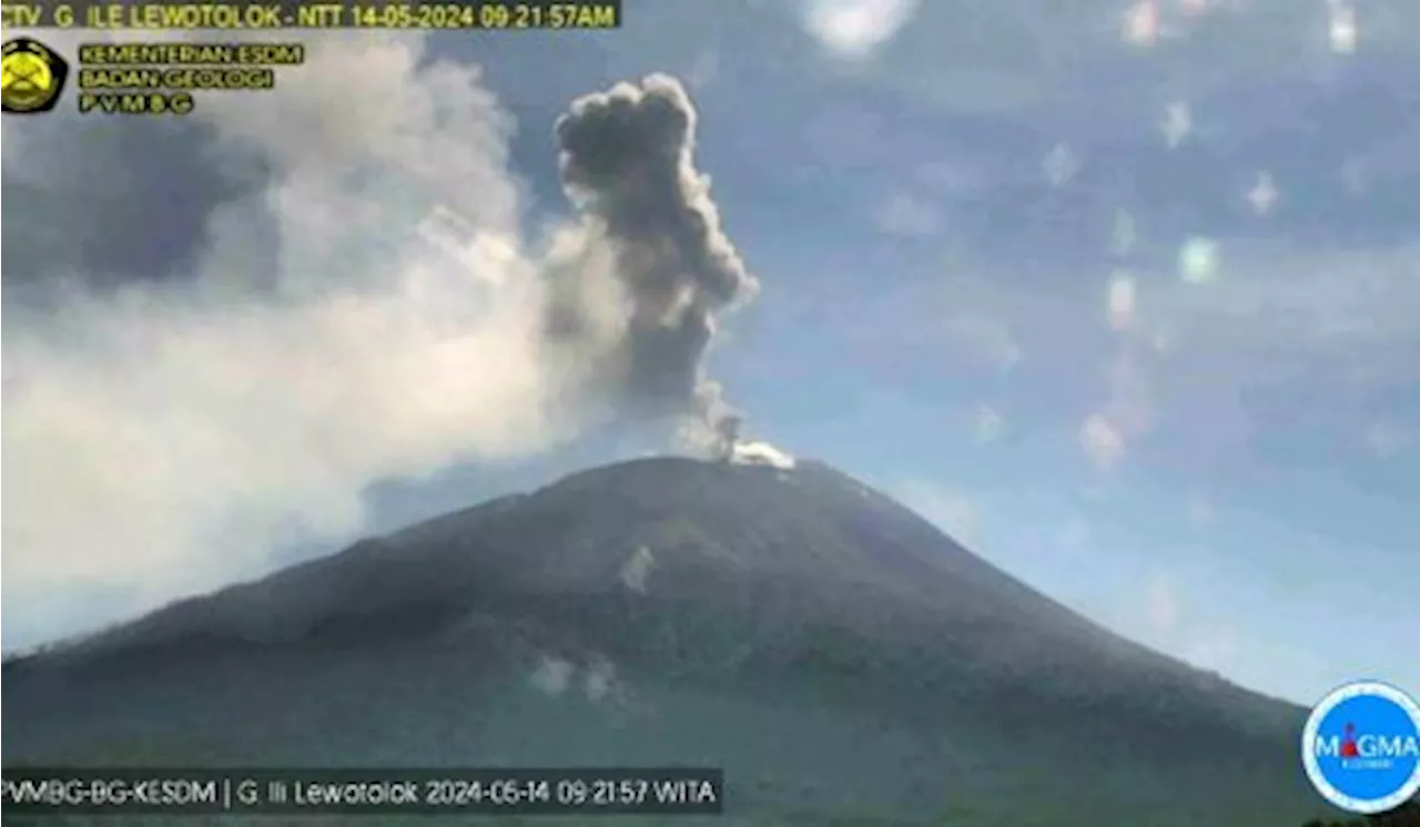 Waspada, Aktivitas Erupsi Gunung Ile Lewotolok Masih Tinggi