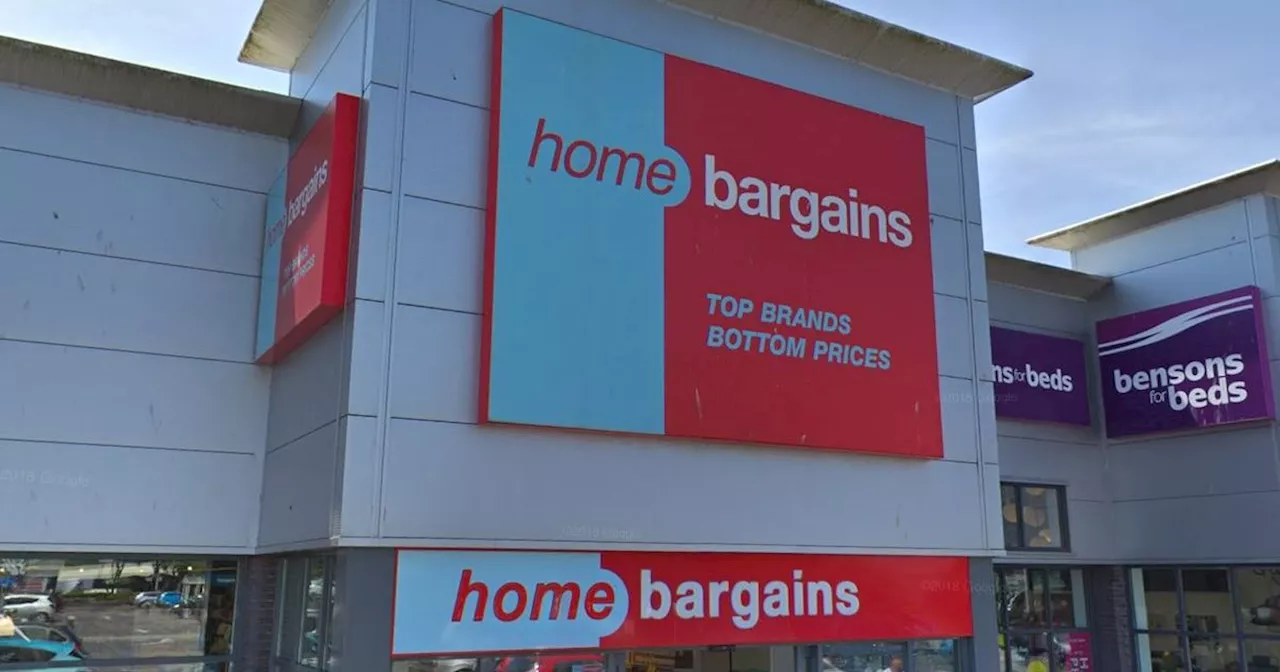 Home Bargains shoppers rave over new dog essentials range perfect for summer