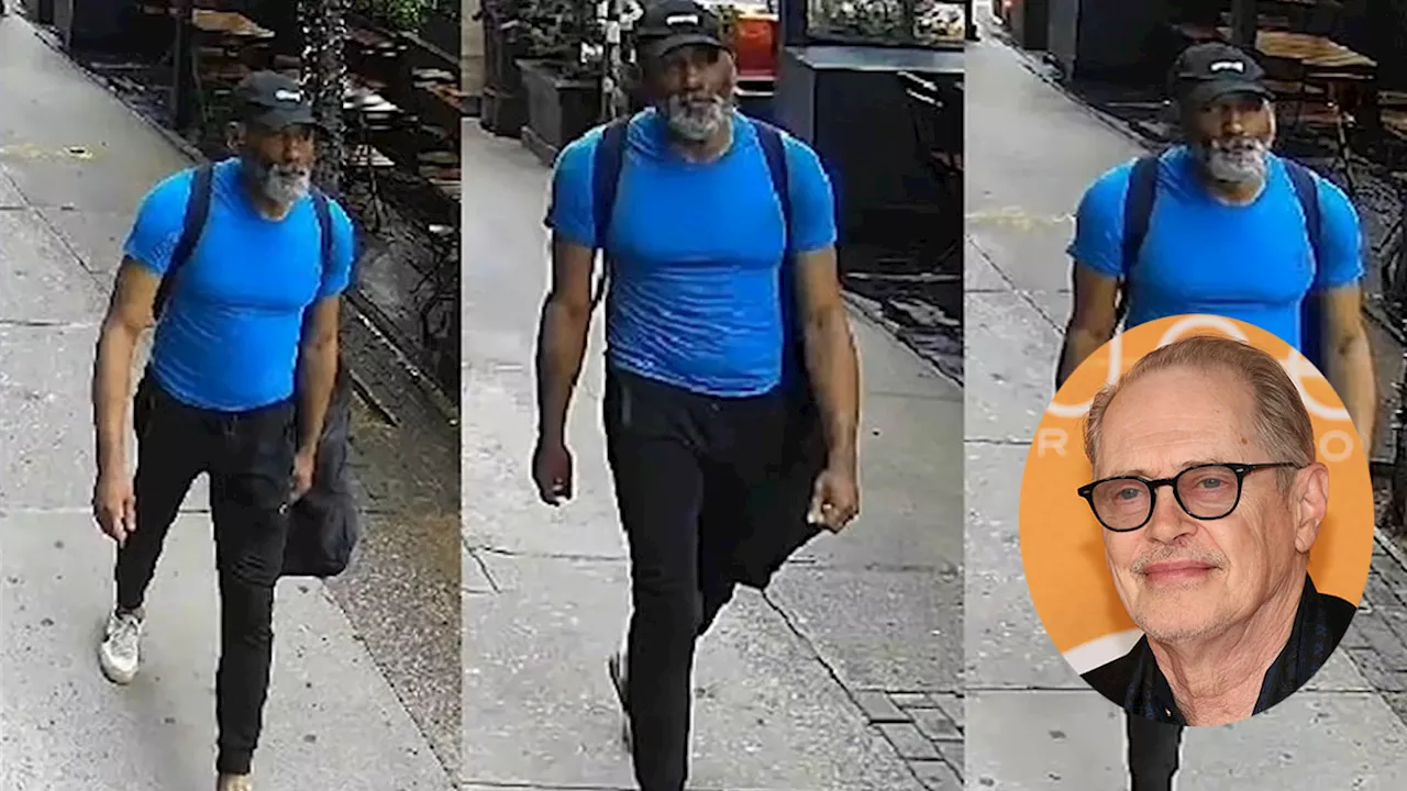 Alleged Steve Buscemi NYC attacker in custody, was tied to another assault on same day